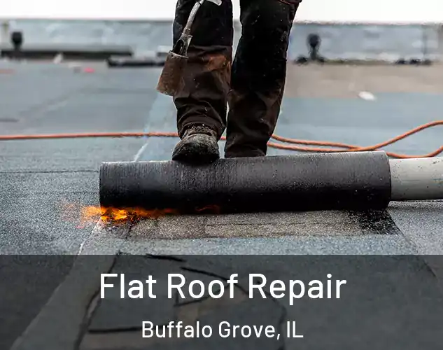  Flat Roof Repair Buffalo Grove, IL
