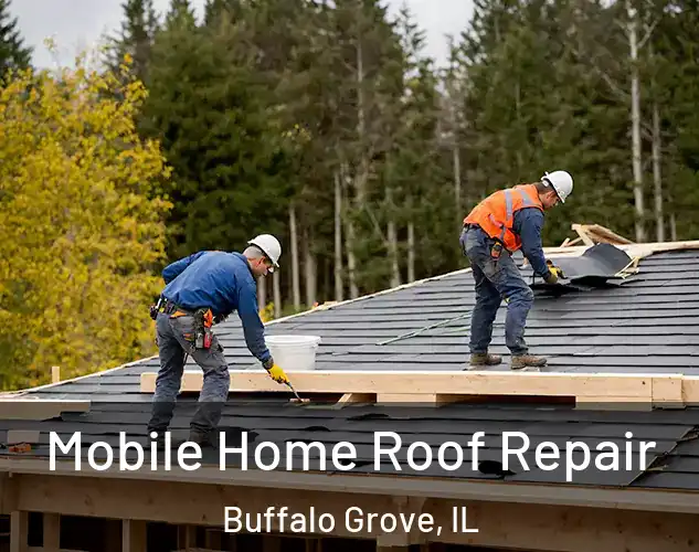  Mobile Home Roof Repair Buffalo Grove, IL