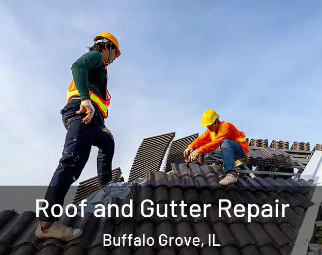  Roof and Gutter Repair Buffalo Grove, IL
