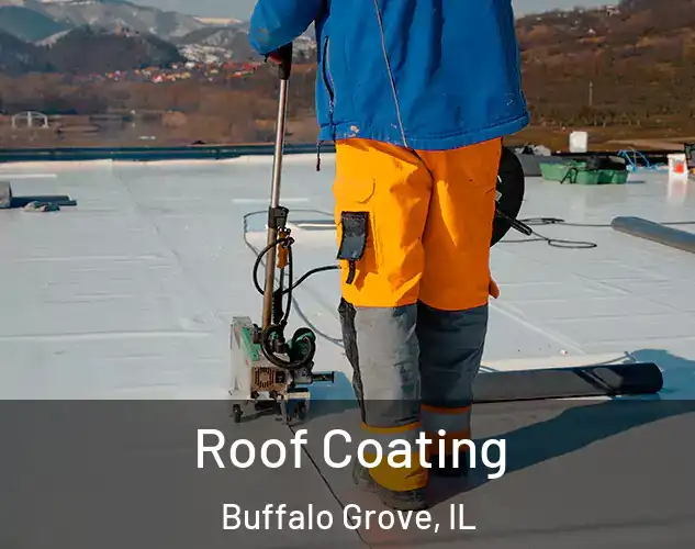  Roof Coating Buffalo Grove, IL