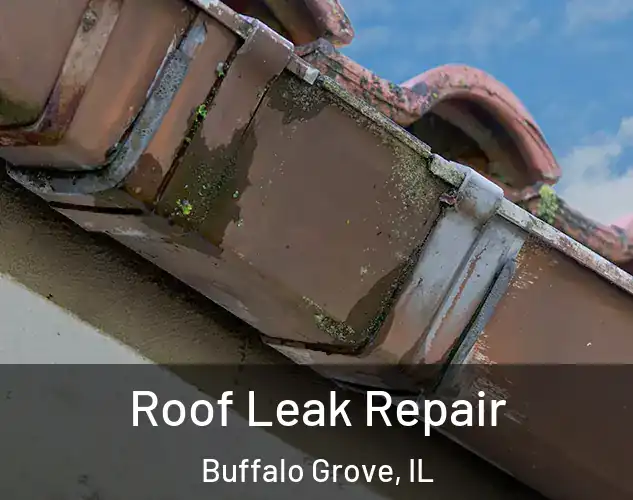  Roof Leak Repair Buffalo Grove, IL
