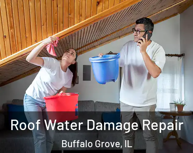  Roof Water Damage Repair Buffalo Grove, IL