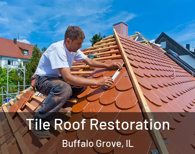 Tile Roof Restoration Buffalo Grove, IL